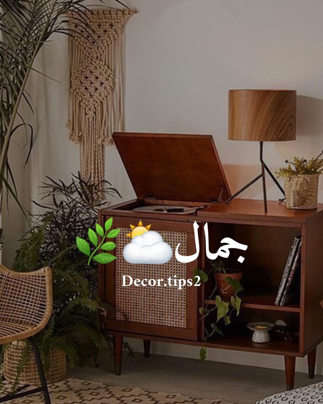.
شمس، خشب، نباتات
وهُنا يكمن الجمال
تتفقون معاي؟
.
.
.
.
.