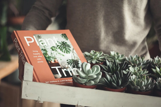قبيلة النبات ، مدونو الغابة الحضرية ، كتاب جديد ، كتاب نباتي ، نباتات داخلية ، العيش مع النباتات