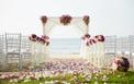تمتزج الورود الملونة مع زينة الزفاف على الشاطئ